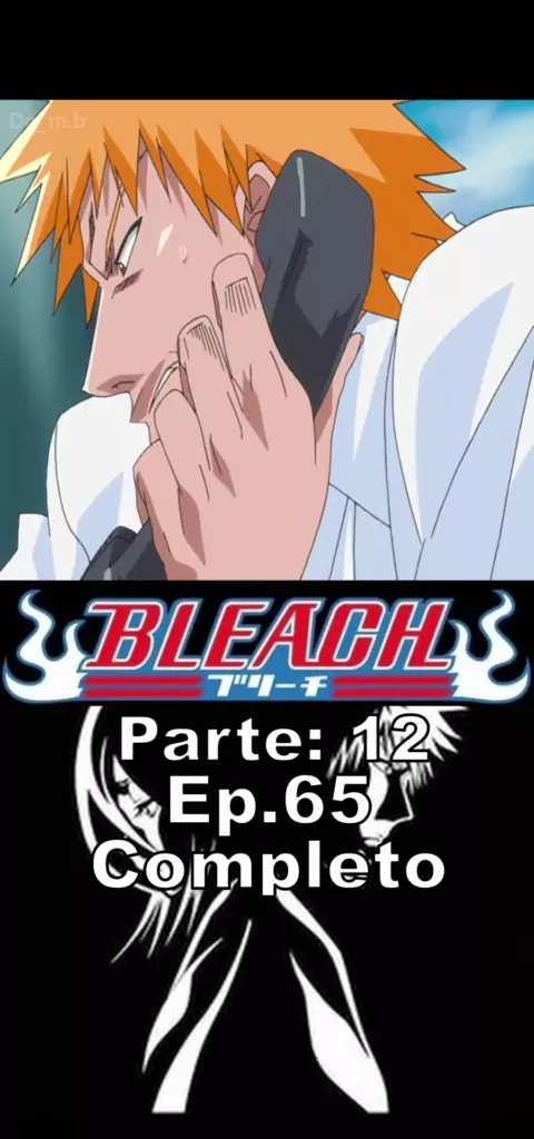 bleach anime temporadas